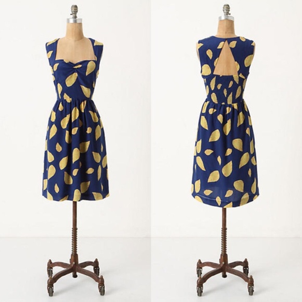 Anthropologie Maple Tupelo Dress